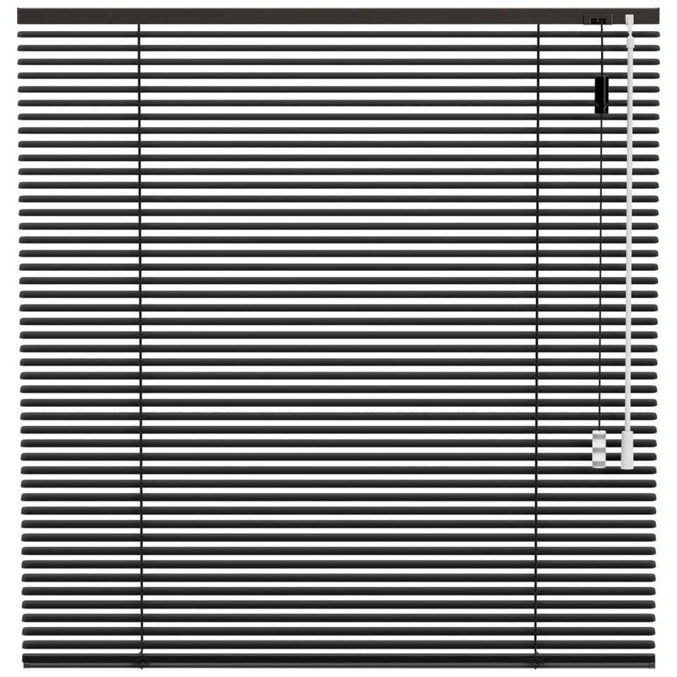 Fenstr Aluminium Jaloezie 25mm Standaard Lak - Donkergrijs (20518)