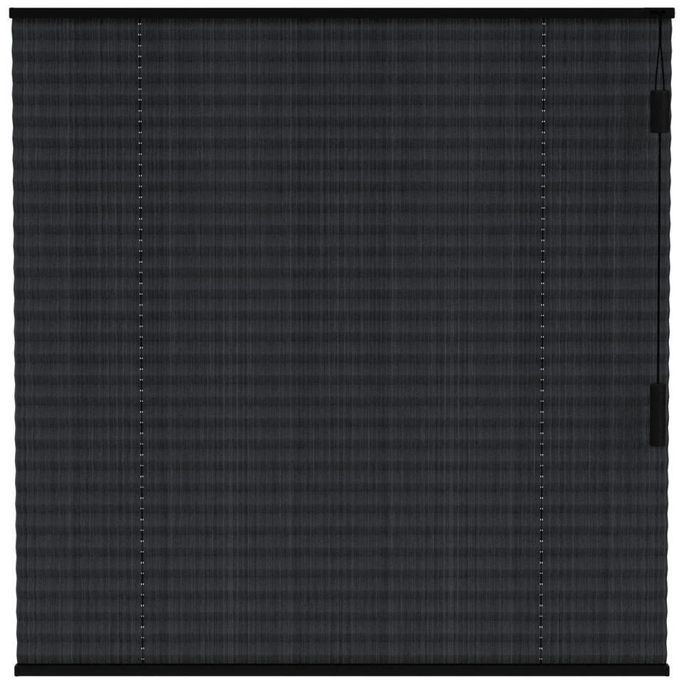 Fenstr Plisségordijn Lille Enkel 20mm Transparant - Zwart (15017)