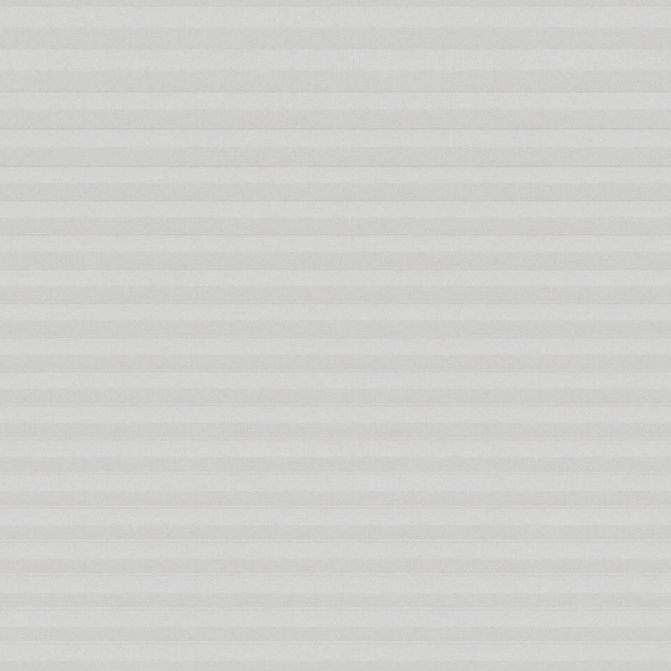 Fenstr Plisségordijn Cambridge Dubbel 25mm Transparant - Wit (10325) - Afbeelding 3