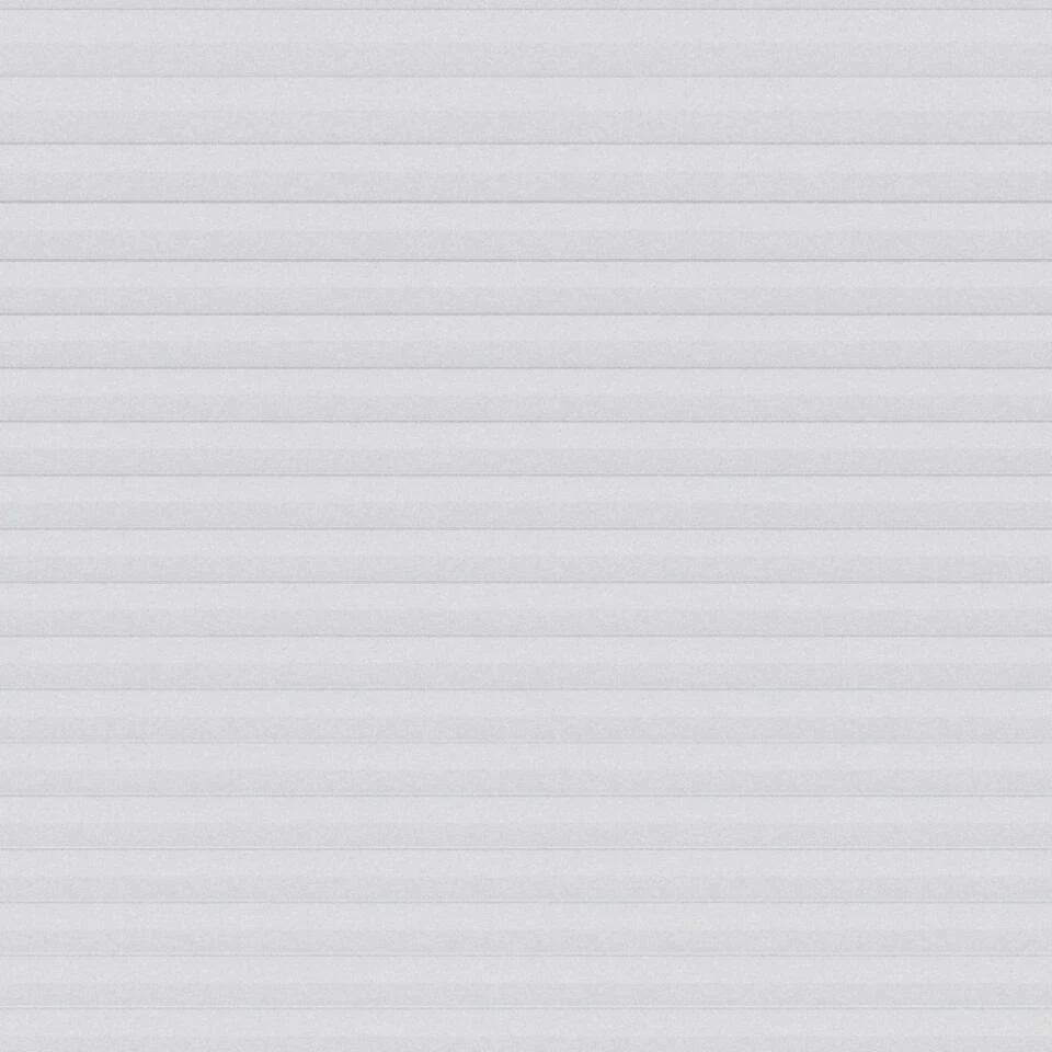 Fenstr Plisségordijn Chicago Dubbel 25mm Lichtdoorlatend - Wit (10011) - Afbeelding 3