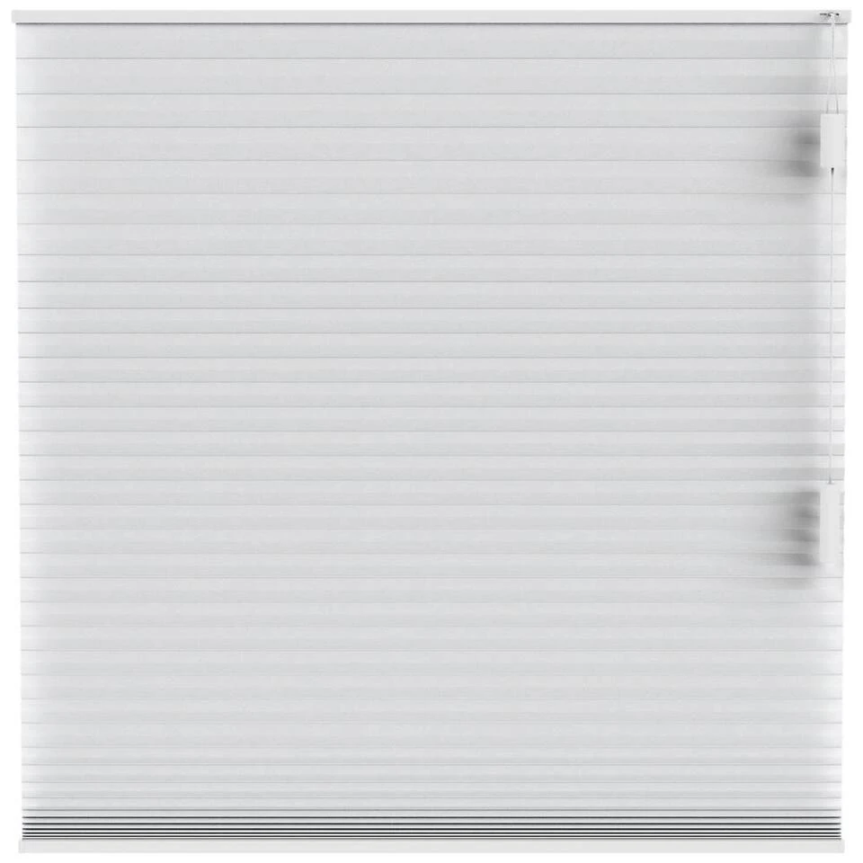 Fenstr Plisségordijn Chicago Dubbel 25mm Lichtdoorlatend - Wit (10011)