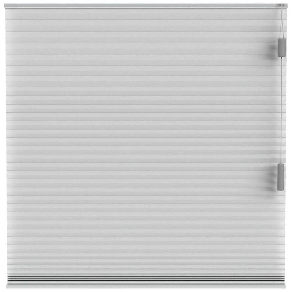 Fenstr Plisségordijn Chicago Dubbel 25mm Lichtdoorlatend - Lichtgrijs (20024)