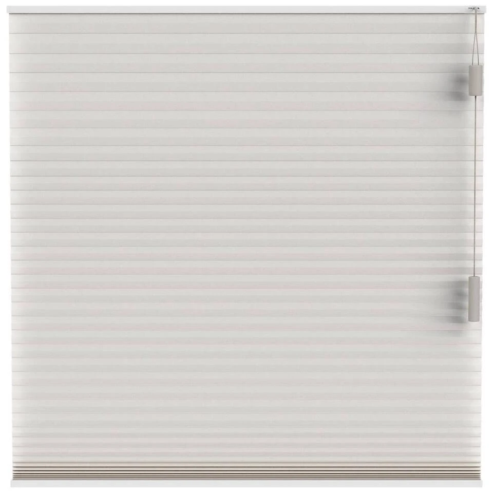 Fenstr Plisségordijn Chicago Dubbel 25mm Lichtdoorlatend - Crème (25005)