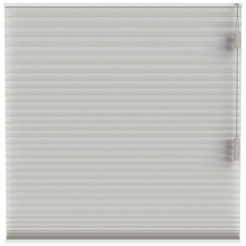 Fenstr Plisségordijn Chicago Dubbel 25mm Lichtdoorlatend - Linnen (25510)