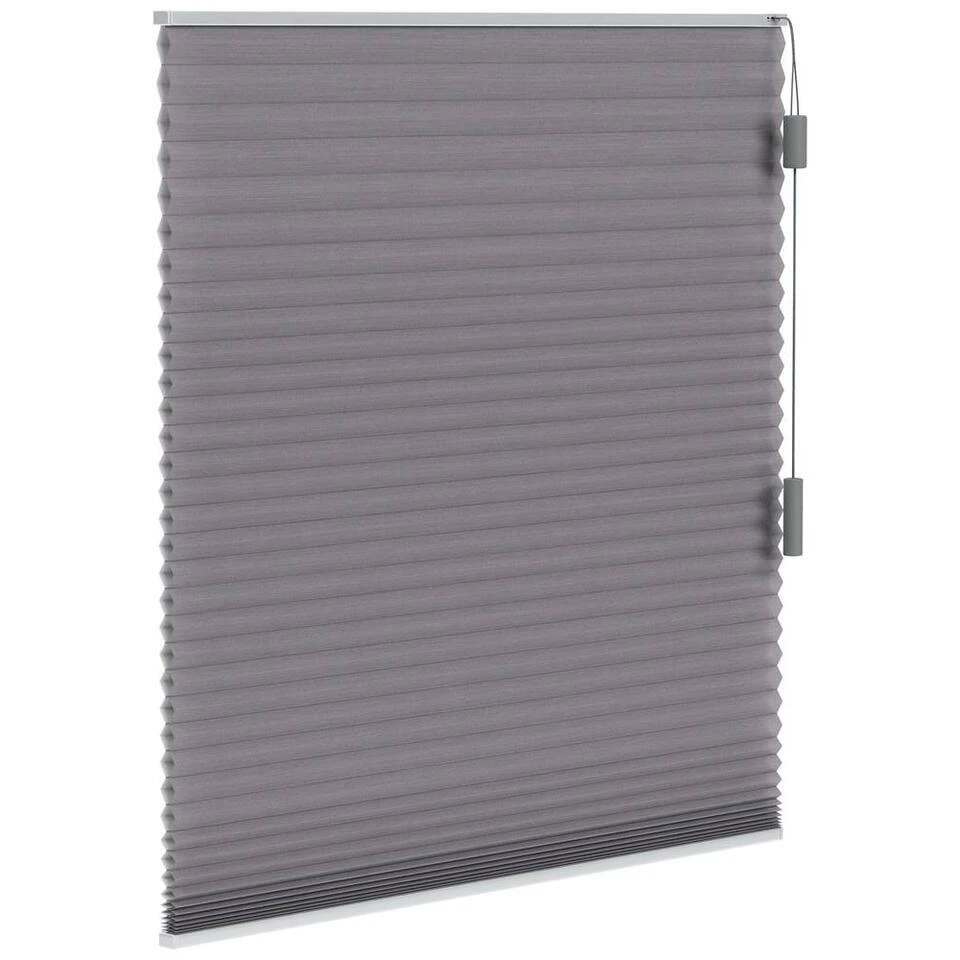 Fenstr Plisségordijn Chicago Dubbel 25mm Lichtdoorlatend - Grijs (20227) - Afbeelding 4