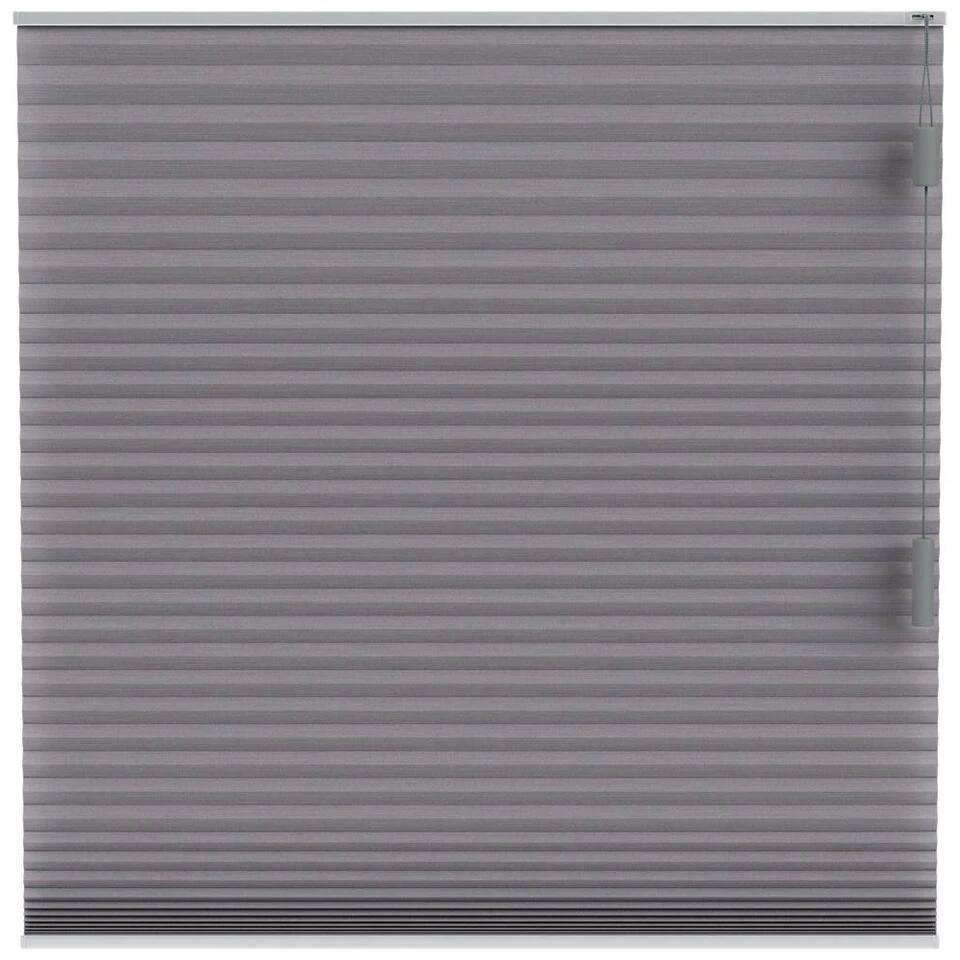 Fenstr Plisségordijn Chicago Dubbel 25mm Lichtdoorlatend - Grijs (20227)