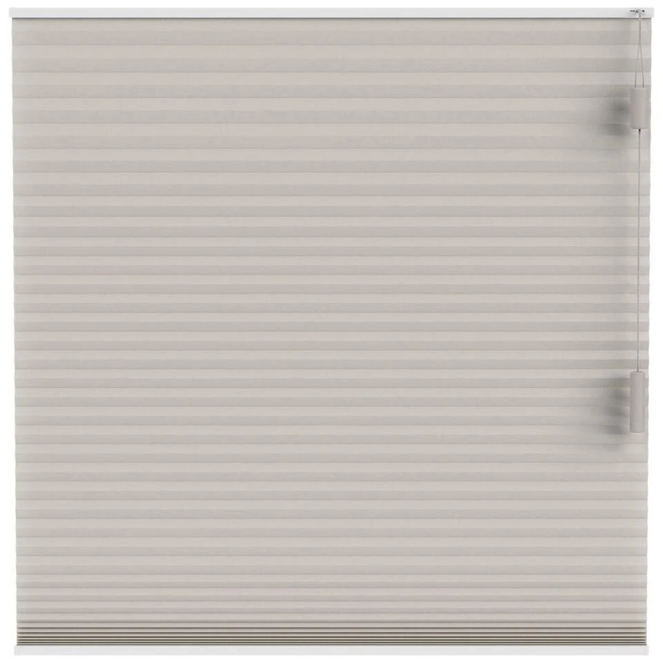 Fenstr Plisségordijn Boston Dubbel 25mm Lichtdoorlatend - Linnen (25511)