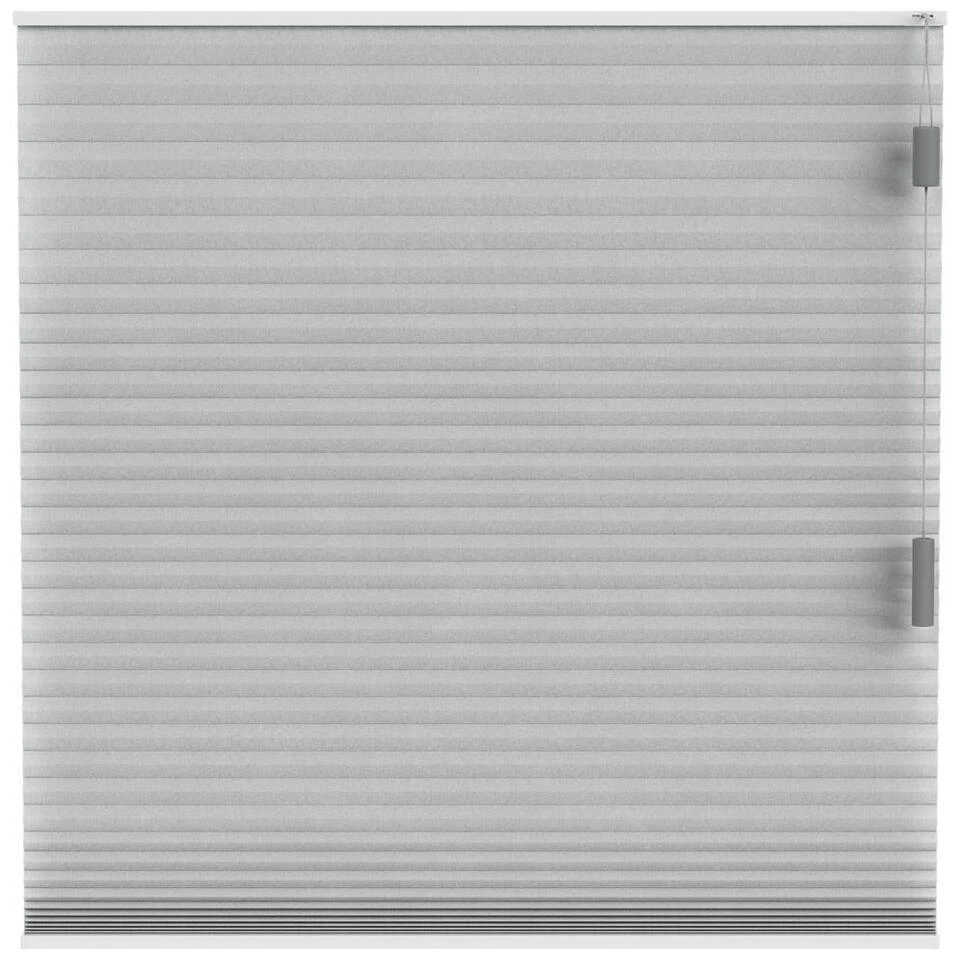 Fenstr Plisségordijn Seattle Dubbel 25mm Lichtdoorlatend - Linnen (25512)