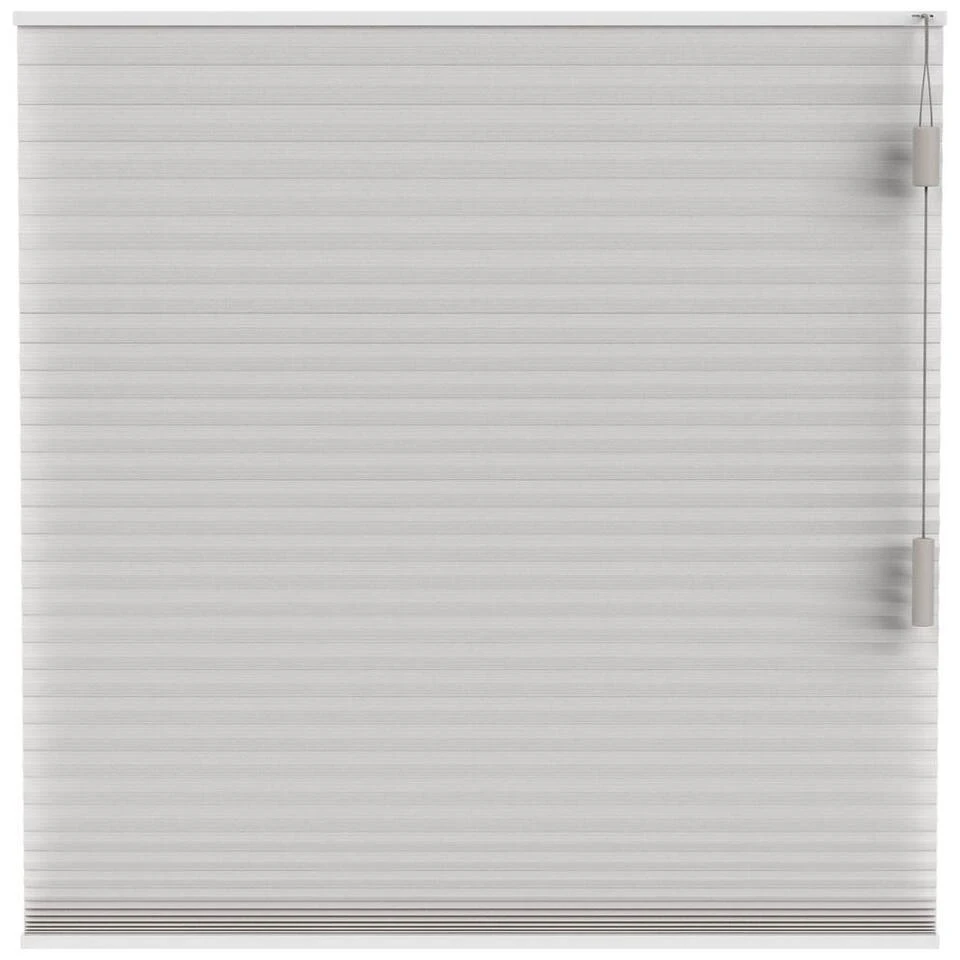 Fenstr Plisségordijn Brisbane Dubbel 25mm Lichtdoorlatend - Beige (25108)