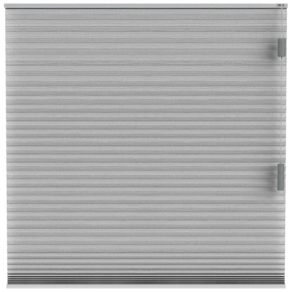 Fenstr Plisségordijn Brisbane Dubbel 25mm Lichtdoorlatend - Grijs (20228)