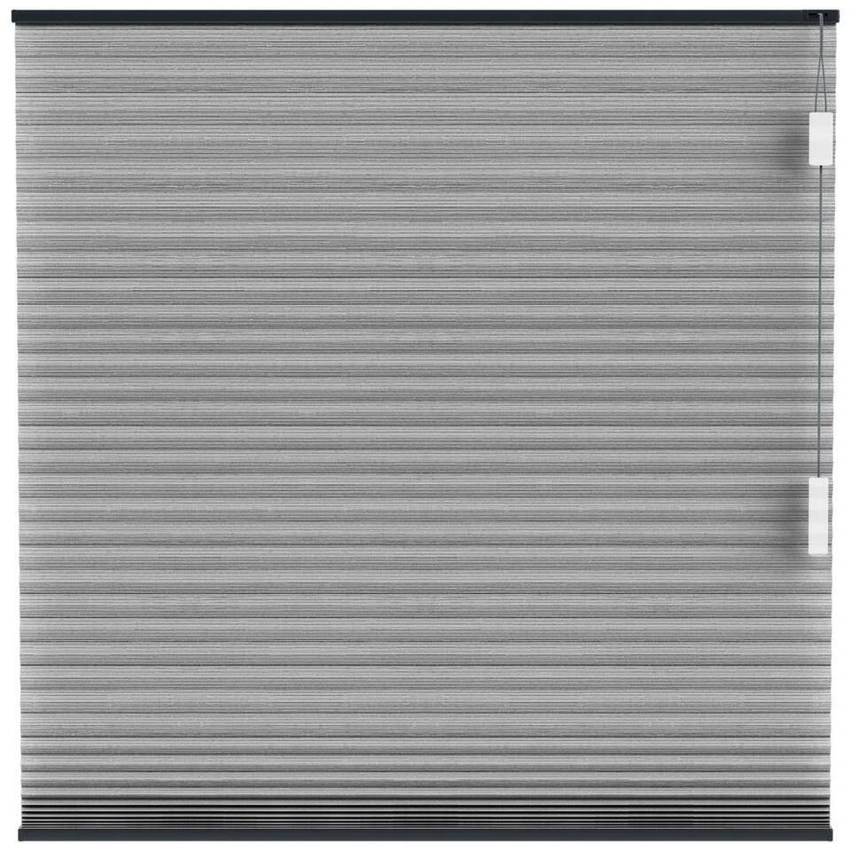 Fenstr Plisségordijn Brisbane Dubbel 25mm Lichtdoorlatend - Antraciet (20712)