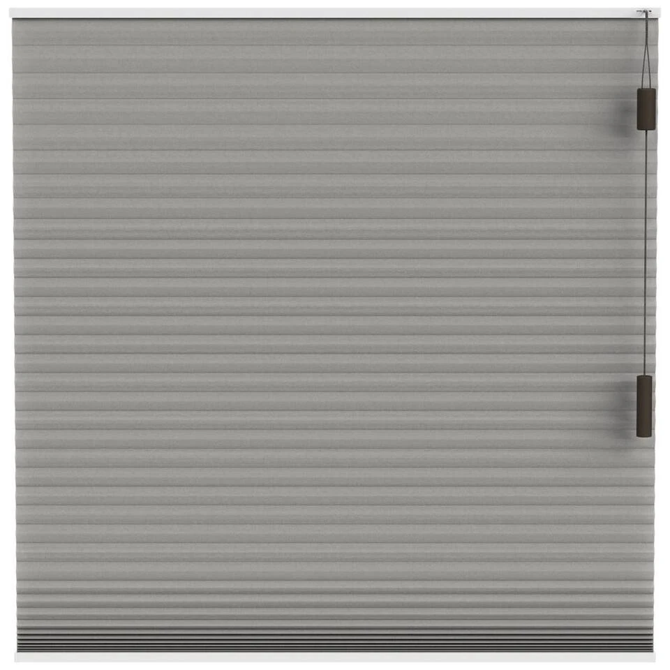 Fenstr Plisségordijn Toronto Dubbel 25mm Lichtdoorlatend - Taupe (30018)