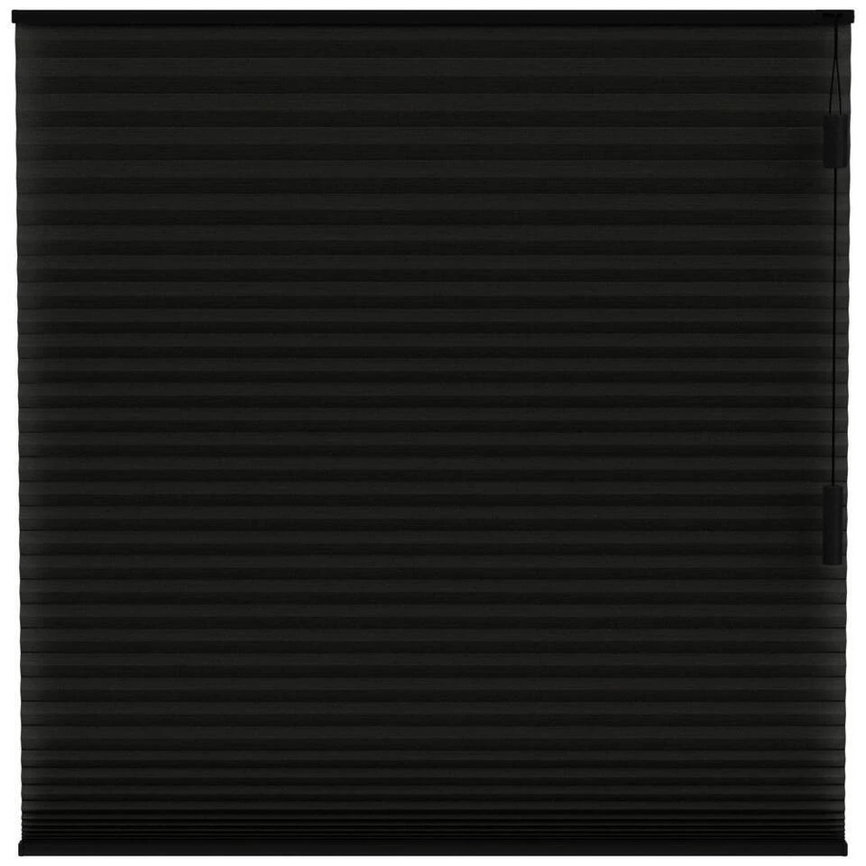 Fenstr Plisségordijn Chicago Dubbel 25mm Verduisterend - Zwart (15023)