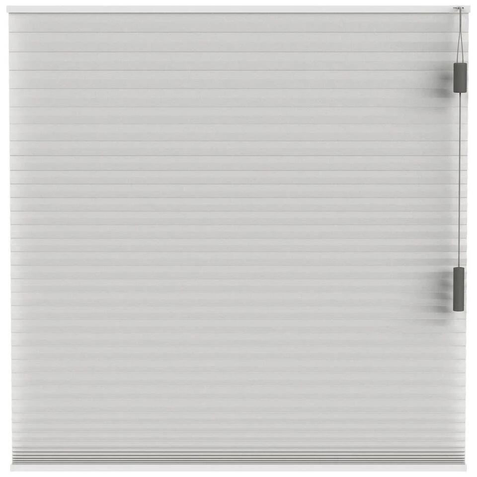 Fenstr Plisségordijn Chicago Dubbel 25mm Verduisterend - Ecru (25802)