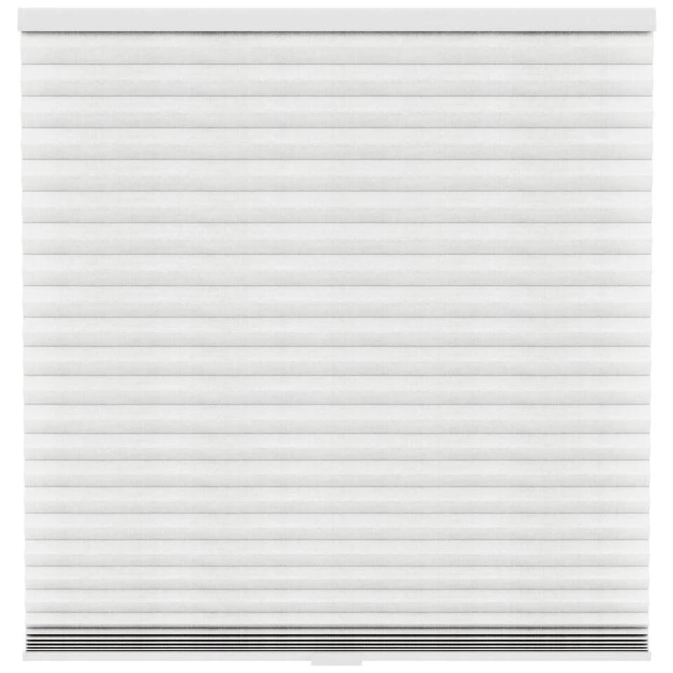 Fenstr Plisségordijn Sidney Dubbel 45mm Transparant - Off-white (10718)