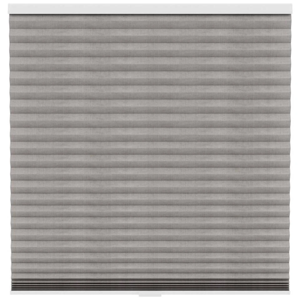 Fenstr Plisségordijn Sidney Dubbel 45mm Transparant - Taupe (30026)