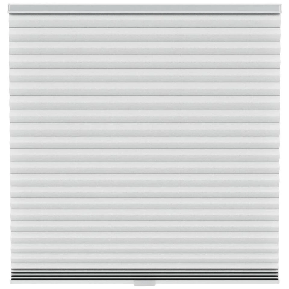 Fenstr Plisségordijn Chicago Dubbel 45mm Lichtdoorlatend - Lichtgrijs (20033)