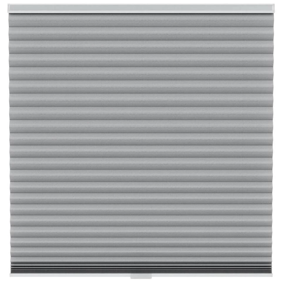 Fenstr Plisségordijn Singapore Dubbel 45mm Lichtdoorlatend - Donkergrijs (20515)