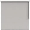 Rolgordijn Transparant - Lichtgrijs (20002)