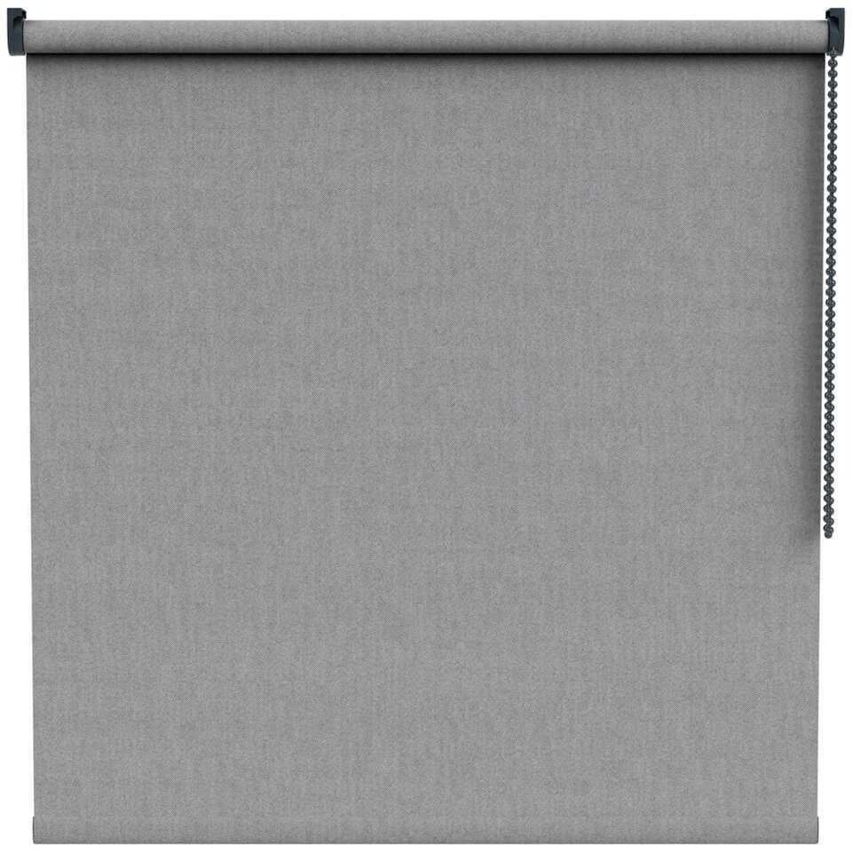 Fenstr Rolgordijn Keulen Transparant - Grijs (20203)