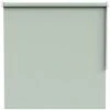 Fenstr Rolgordijn Stockholm Lichtdoorlatend - Lichtgroen (50001)