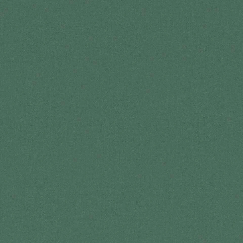 Fenstr Rolgordijn Stockholm Lichtdoorlatend - Groen (50201) - Afbeelding 2