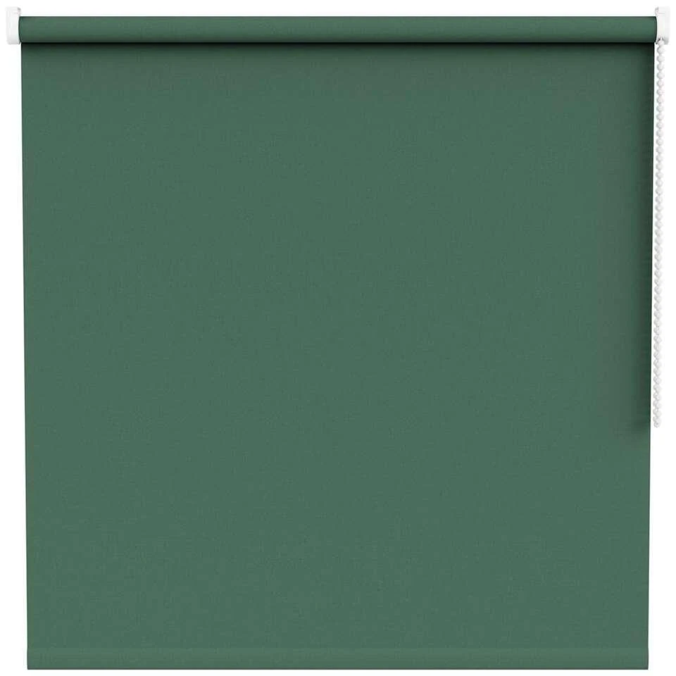 Fenstr Rolgordijn Stockholm Lichtdoorlatend - Groen (50201)